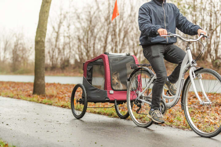 TRIXIE Fahrrad-Anhänger für Hunde